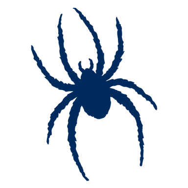 Richmond Spiders logo