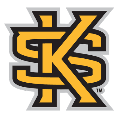 Kennesaw State Owls logo