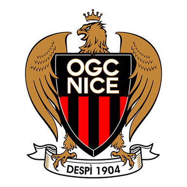 Nice logo